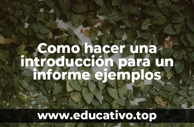 Como hacer una introducción para un informe ejemplos