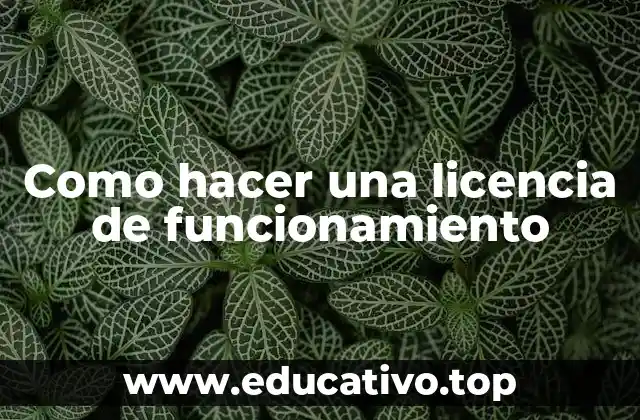 Como hacer una licencia de funcionamiento