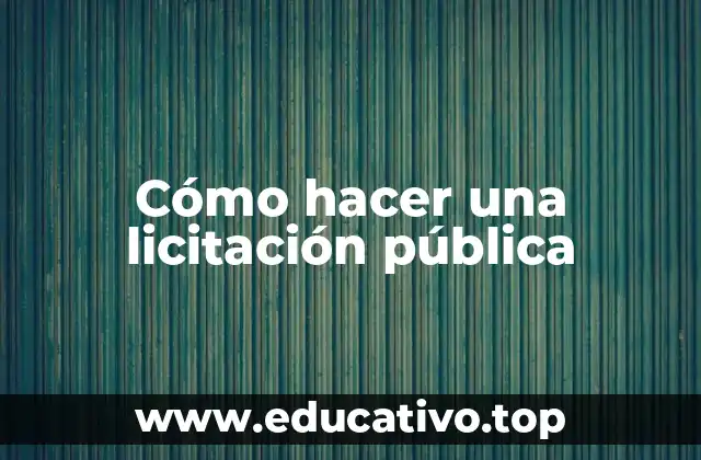 Cómo hacer una licitación pública