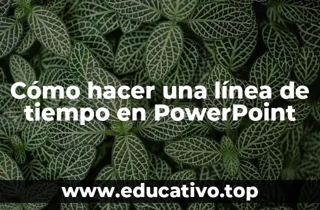 Cómo hacer una línea de tiempo en PowerPoint