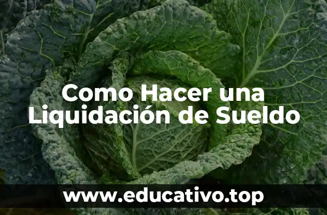 Como Hacer una Liquidación de Sueldo