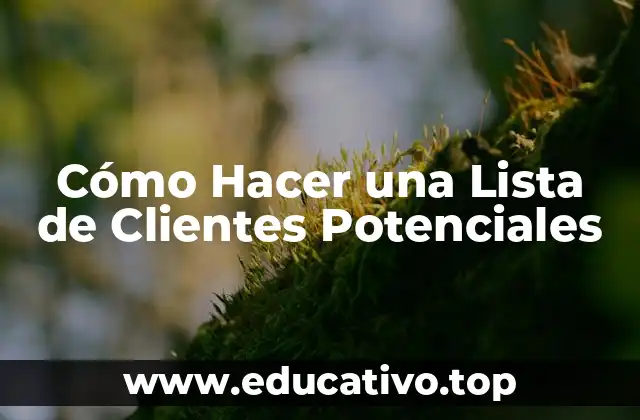 Cómo Hacer una Lista de Clientes Potenciales