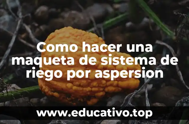 Como hacer una maqueta de sistema de riego por aspersion