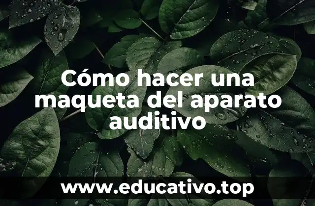 Cómo hacer una maqueta del aparato auditivo