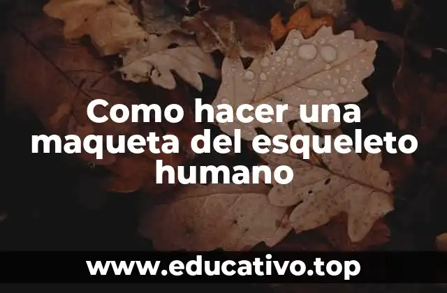 Como hacer una maqueta del esqueleto humano