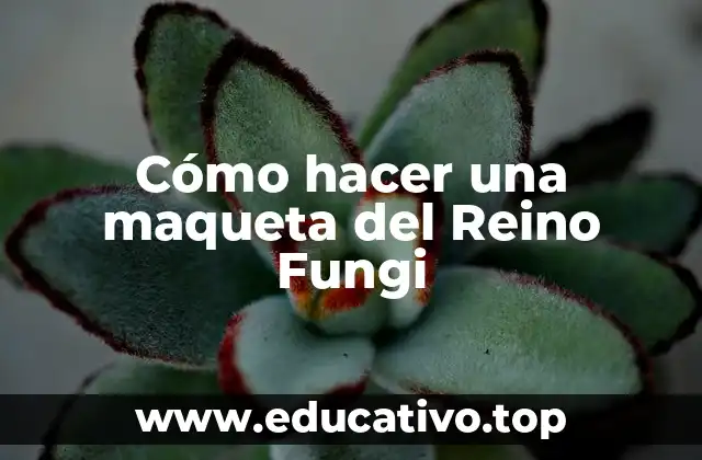 Cómo hacer una maqueta del Reino Fungi