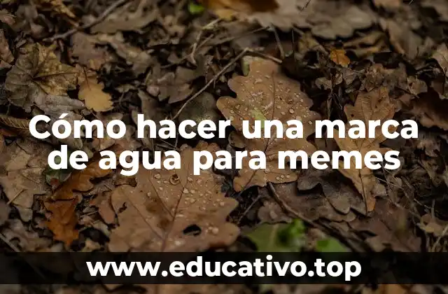 Cómo hacer una marca de agua para memes