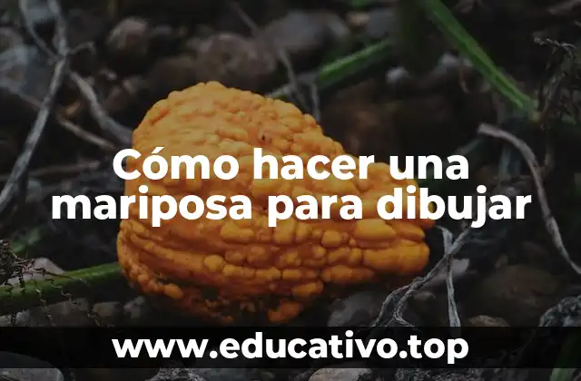 Cómo hacer una mariposa para dibujar