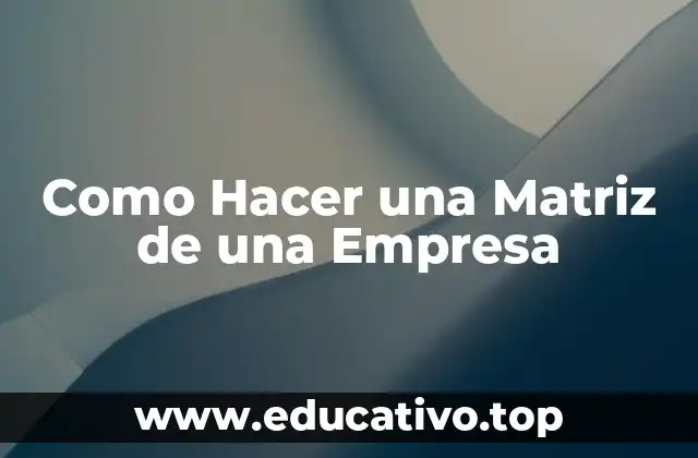 Como Hacer una Matriz de una Empresa