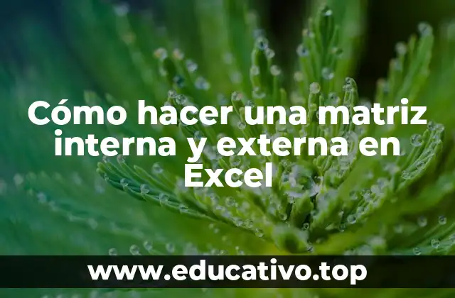 Cómo hacer una matriz interna y externa en Excel