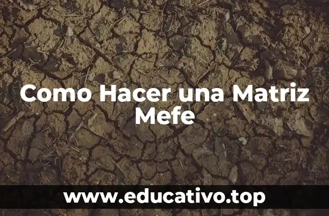 Como Hacer una Matriz Mefe