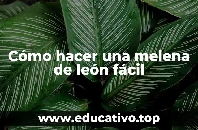 Cómo hacer una melena de león fácil