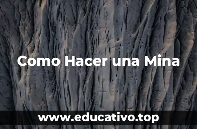 Como Hacer una Mina
