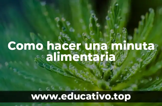 Como hacer una minuta alimentaria