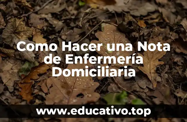Como Hacer una Nota de Enfermería Domiciliaria