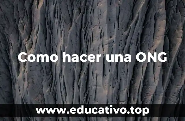 Como hacer una ONG