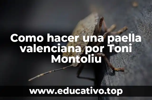Como hacer una paella valenciana por Toni Montoliu