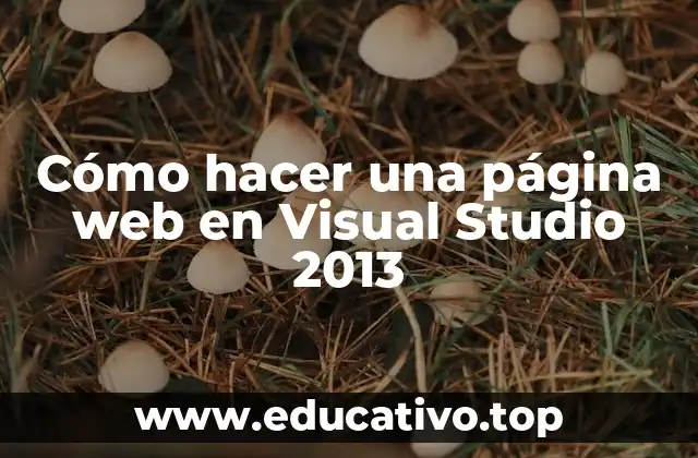 Cómo hacer una página web en Visual Studio 2013