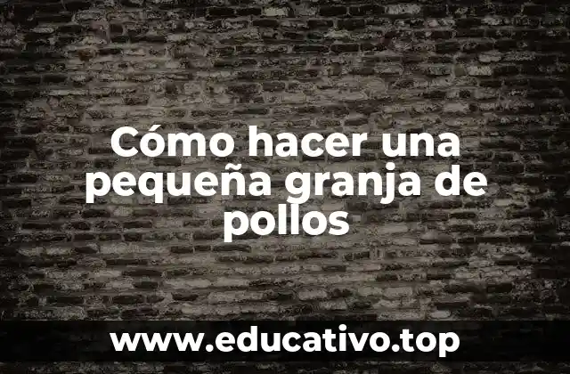 Cómo hacer una pequeña granja de pollos