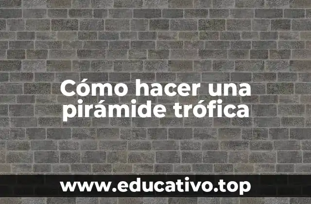 Cómo hacer una pirámide trófica
