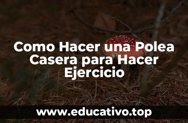 Como Hacer una Polea Casera para Hacer Ejercicio