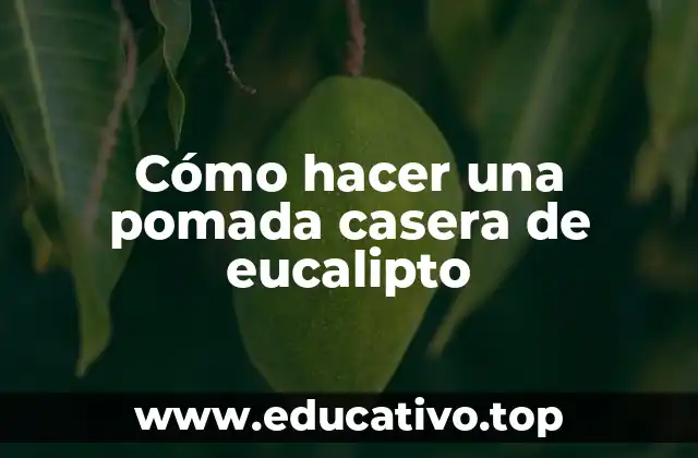 Cómo hacer una pomada casera de eucalipto