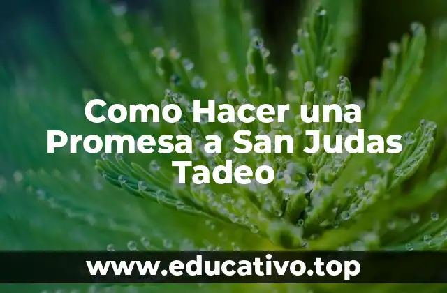 Como Hacer una Promesa a San Judas Tadeo