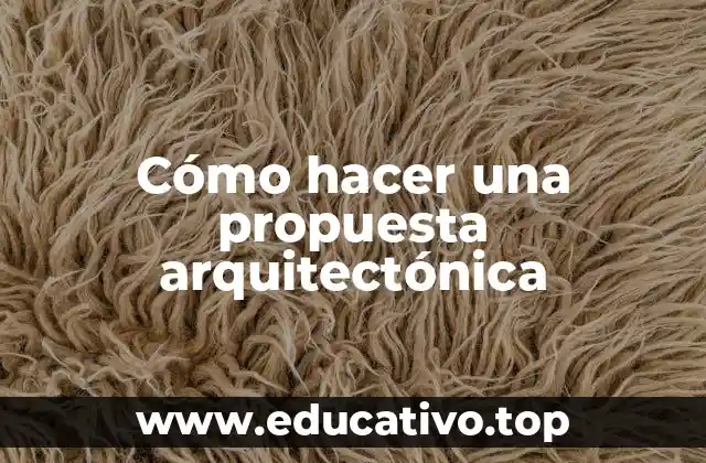 Cómo hacer una propuesta arquitectónica