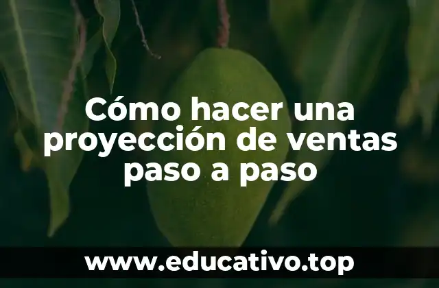 Cómo hacer una proyección de ventas paso a paso
