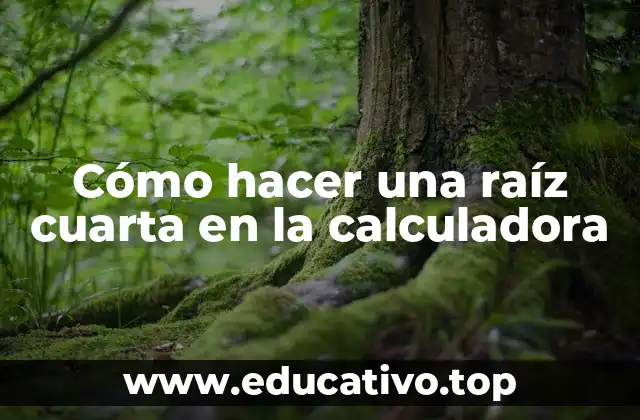 Cómo hacer una raíz cuarta en la calculadora