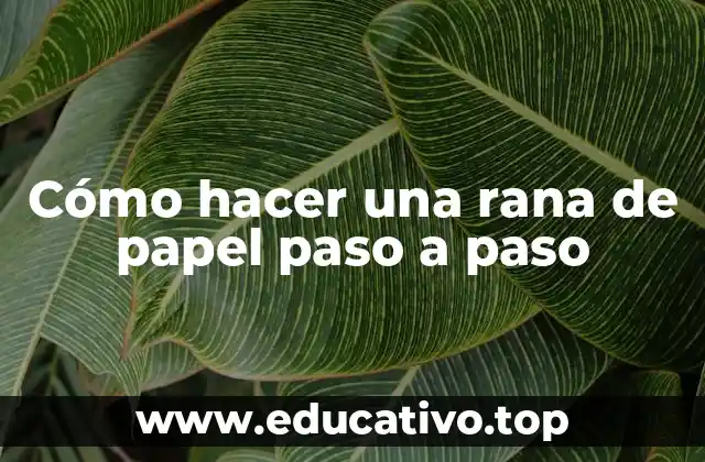 ¿Qué es una rana de papel y para qué sirve?