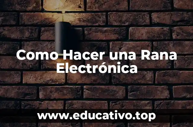 Como Hacer una Rana Electrónica