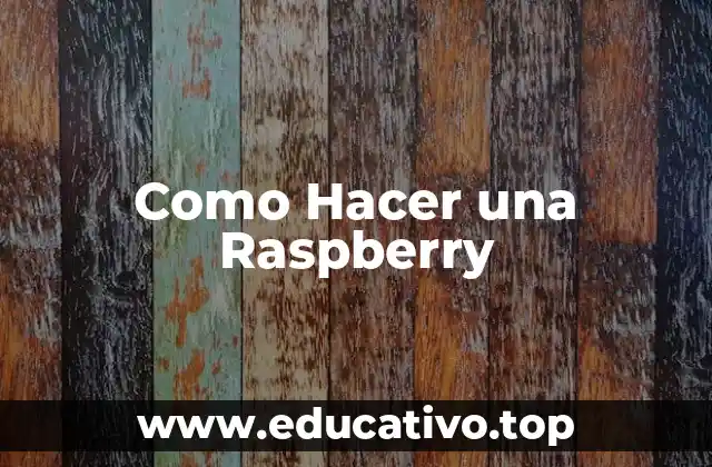 Como Hacer una Raspberry