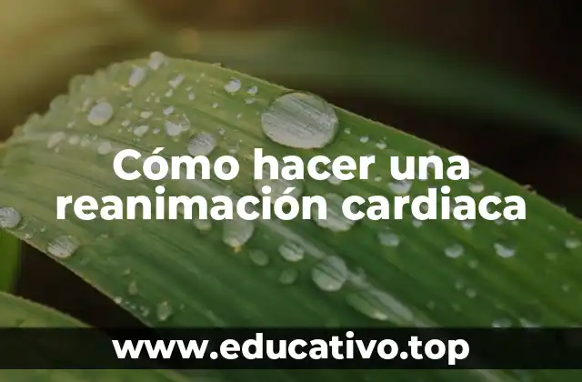 Cómo hacer una reanimación cardiaca