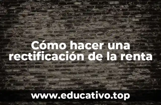 Cómo hacer una rectificación de la renta