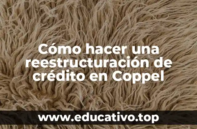Cómo hacer una reestructuración de crédito en Coppel