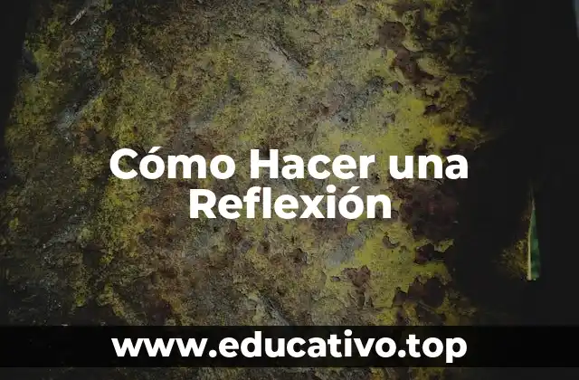 Cómo Hacer una Reflexión