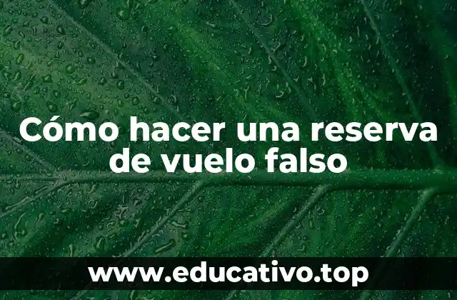 Cómo hacer una reserva de vuelo falso