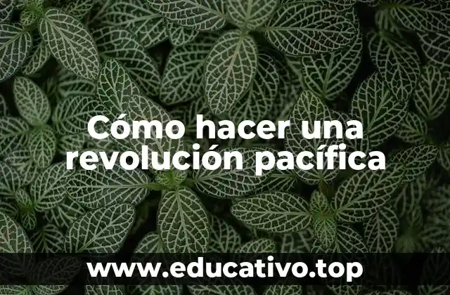 Cómo hacer una revolución pacífica