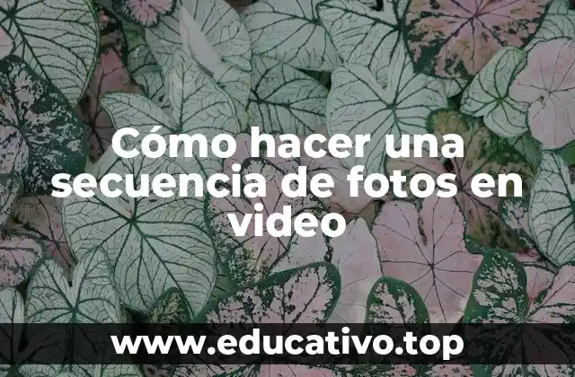 Cómo hacer una secuencia de fotos en video