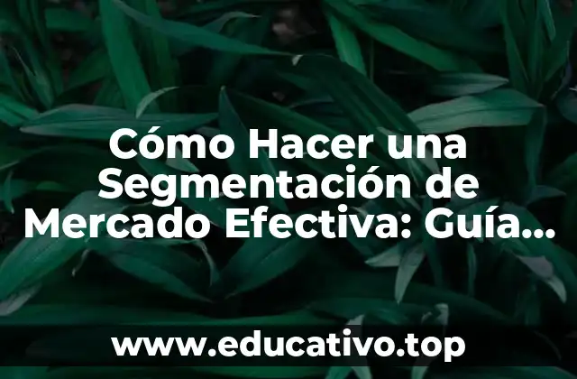Cómo Hacer una Segmentación de Mercado Efectiva: Guía Detallada