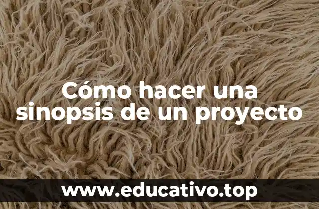 Cómo hacer una sinopsis de un proyecto