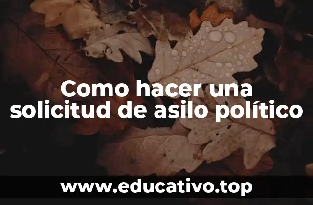 Como hacer una solicitud de asilo político