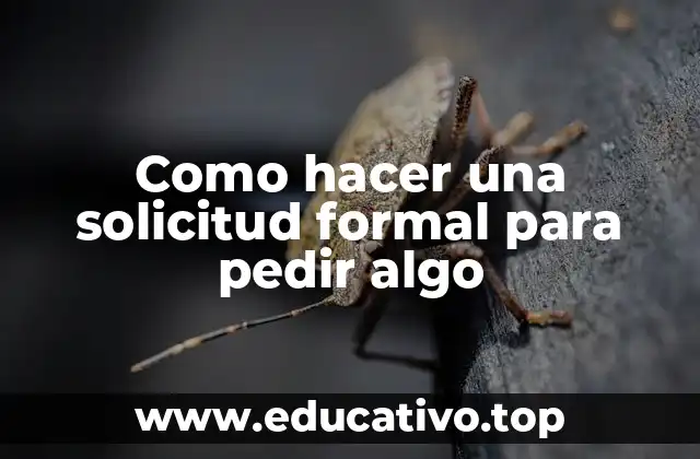 Como hacer una solicitud formal para pedir algo
