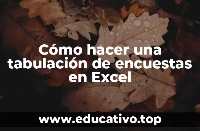 Cómo hacer una tabulación de encuestas en Excel