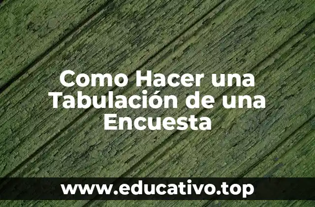 Como Hacer una Tabulación de una Encuesta