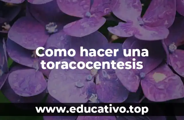 Como hacer una toracocentesis