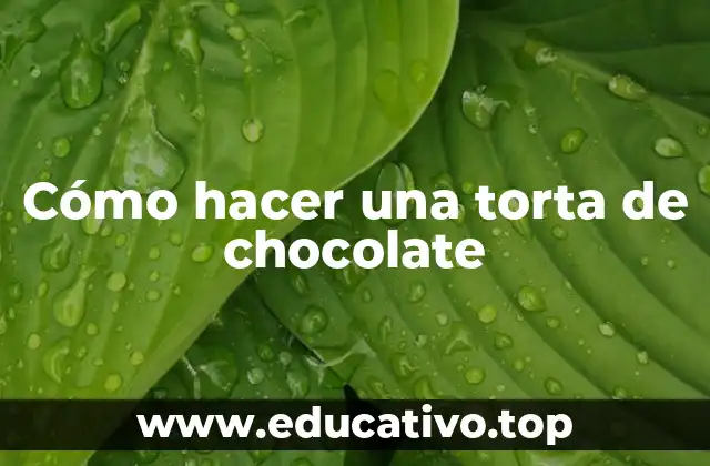 Cómo hacer una torta de chocolate
