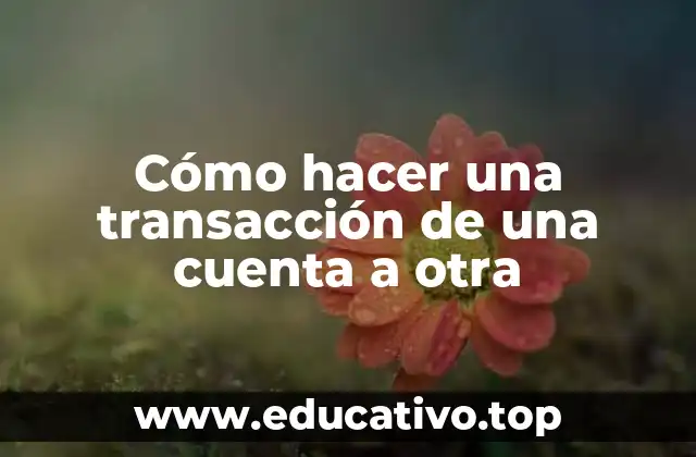 Cómo hacer una transacción de una cuenta a otra
