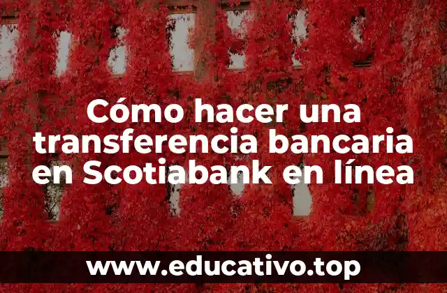 Cómo hacer una transferencia bancaria en Scotiabank en línea